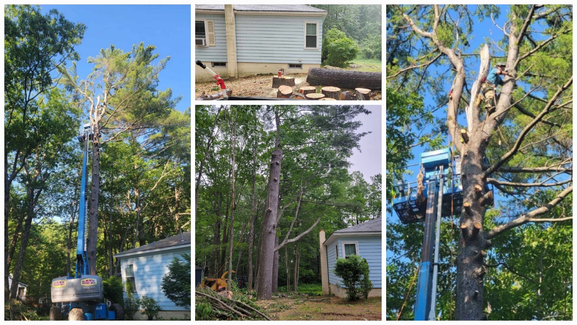 Aerial lift tree removal