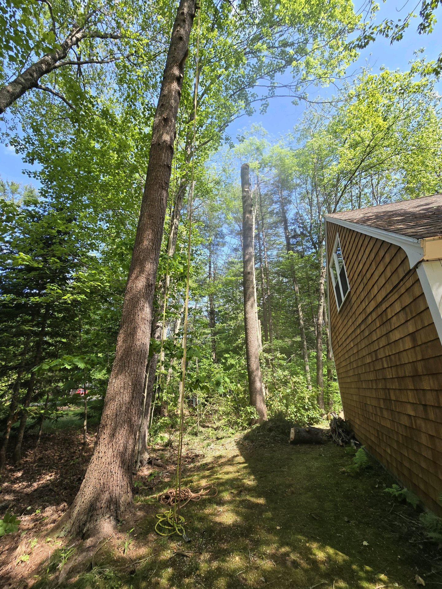Climber near house