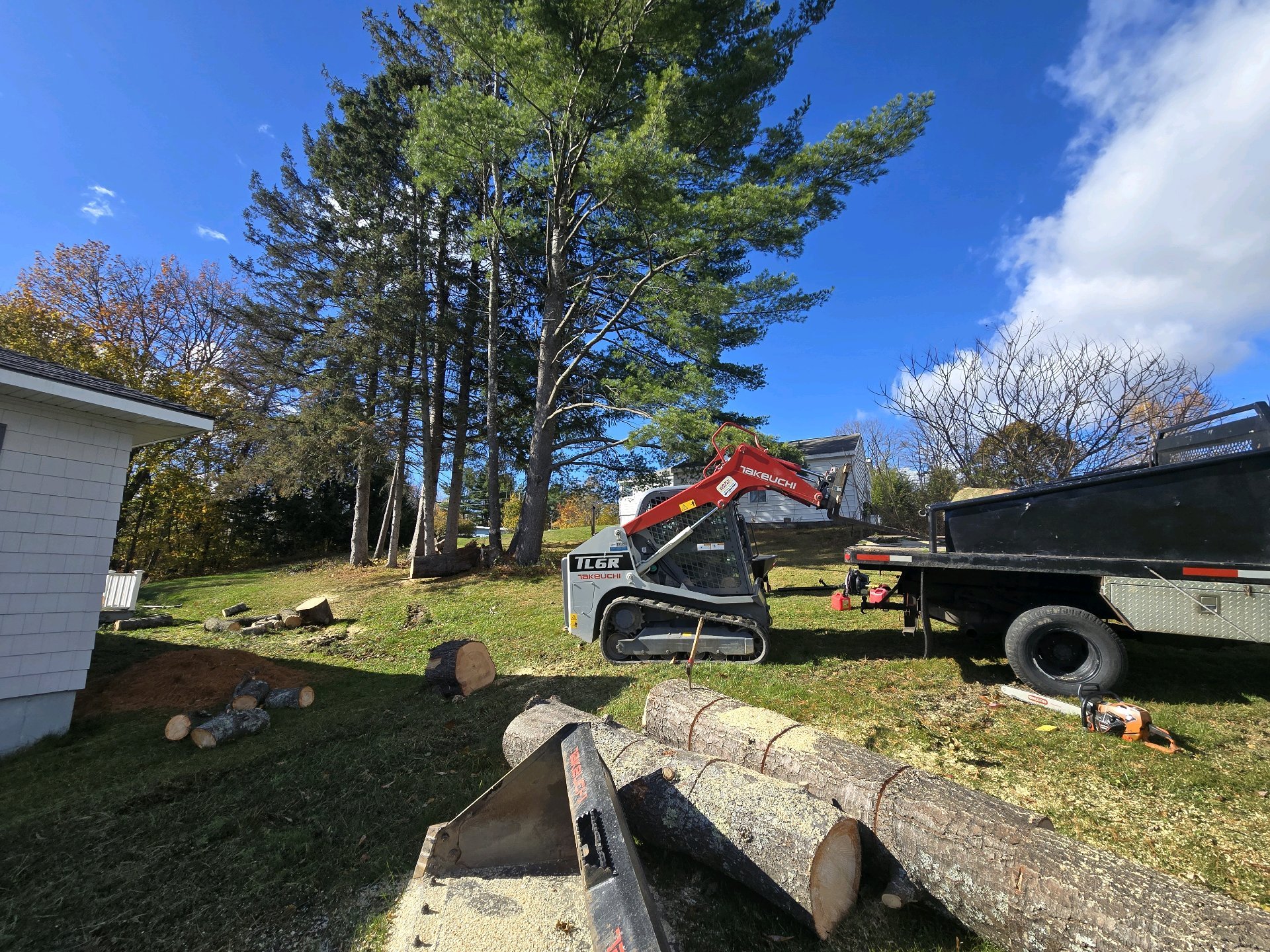 Corey Goodell - Arborist
