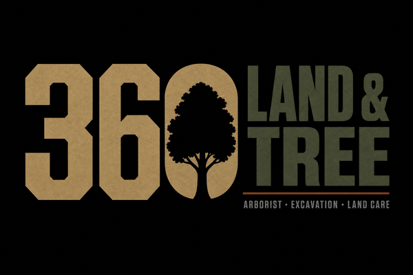 360 Land and Tree