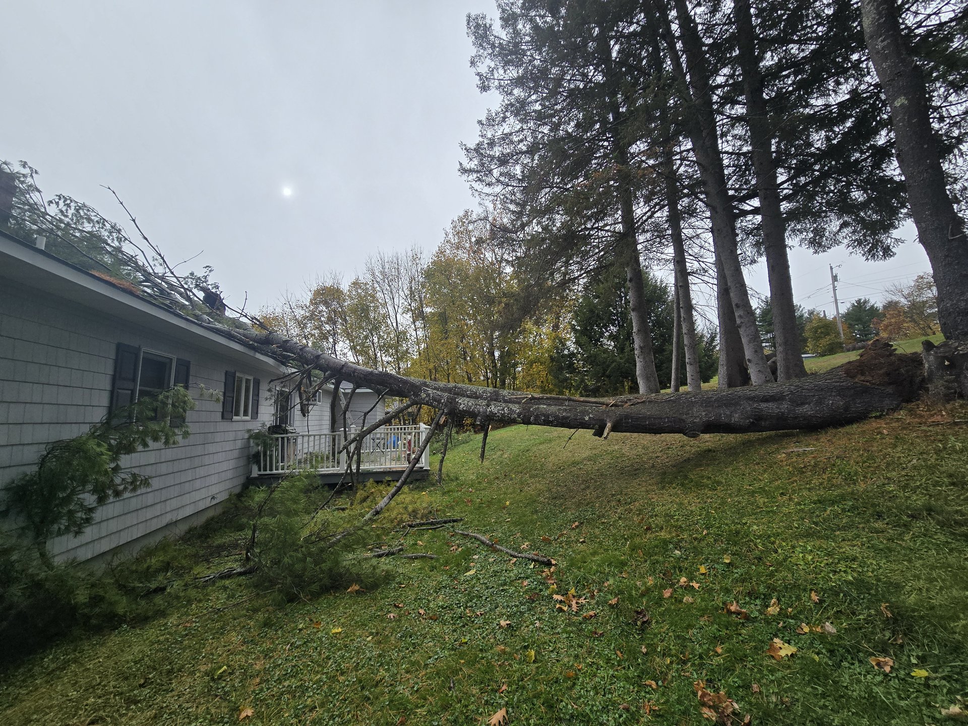 Storm damage before